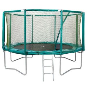 Trampoline 3m65 met veiligheidsnet + Trapje